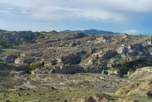 Visite de la communauté et de la biodiversité dans le désert de Tatacoa Neiva