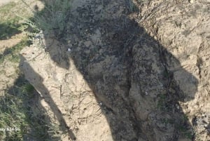 Visite de la communauté et de la biodiversité dans le désert de Tatacoa Neiva