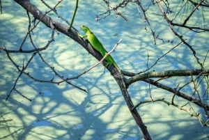Tour comunitário Biodiversidade Latatacoa Deserto Villavieja