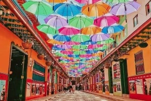 Discover Guatapé: Guided tour, culture, landscapes, and lunch included