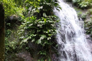Tag på tur på oprindelige stier, kaffe ☕️, kakao, vandfald – Minca