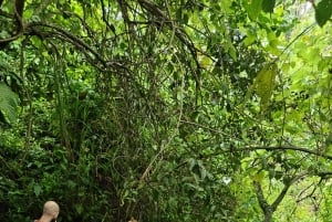 Tag på tur på oprindelige stier, kaffe ☕️, kakao, vandfald – Minca