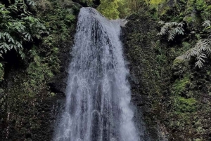 Tag på tur på oprindelige stier, kaffe ☕️, kakao, vandfald – Minca