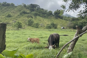 Tag på tur på oprindelige stier, kaffe ☕️, kakao, vandfald – Minca