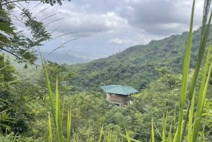 Tag på tur på oprindelige stier, kaffe ☕️, kakao, vandfald – Minca