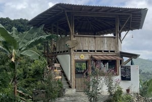 Tag på tur på oprindelige stier, kaffe ☕️, kakao, vandfald – Minca