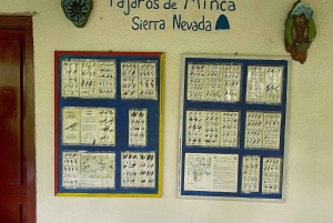 Tag på tur på oprindelige stier, kaffe ☕️, kakao, vandfald – Minca