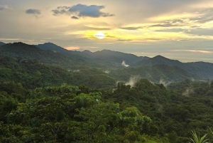 Tag på tur på oprindelige stier, kaffe ☕️, kakao, vandfald – Minca