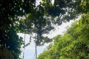 Tag på tur på oprindelige stier, kaffe ☕️, kakao, vandfald – Minca