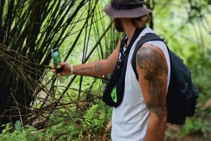 Tag på tur på oprindelige stier, kaffe ☕️, kakao, vandfald – Minca