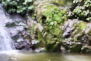 Tag på tur på oprindelige stier, kaffe ☕️, kakao, vandfald – Minca