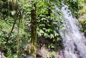 Tag på tur på oprindelige stier, kaffe ☕️, kakao, vandfald – Minca