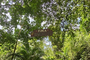 Tag på tur på oprindelige stier, kaffe ☕️, kakao, vandfald – Minca