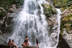 Tag på tur på oprindelige stier, kaffe ☕️, kakao, vandfald – Minca