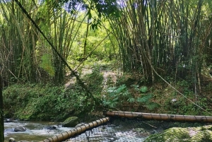 Tag på tur på oprindelige stier, kaffe ☕️, kakao, vandfald – Minca