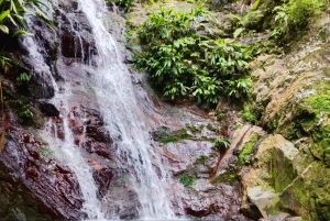 Tag på tur på oprindelige stier, kaffe ☕️, kakao, vandfald – Minca