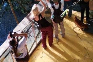 Tag på tur på oprindelige stier, kaffe ☕️, kakao, vandfald – Minca