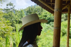 Tag på tur på oprindelige stier, kaffe ☕️, kakao, vandfald – Minca