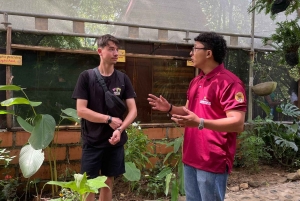 Tag på tur på oprindelige stier, kaffe ☕️, kakao, vandfald – Minca