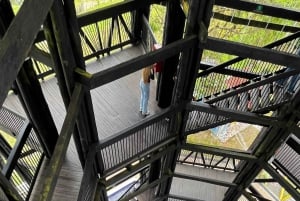 Tour of 3 villages: Filandia, Pijao, and Buenavista