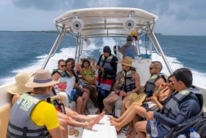 Cartagena : tour en bateau de 5 îles avec visite nocturne des bioluminescences