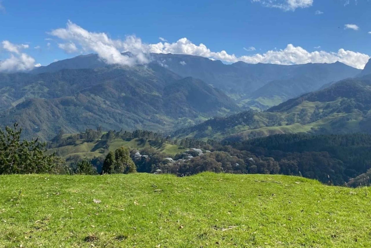 ラ・カーボネラのパルマ・デ・セラの森ツアーをご案内します