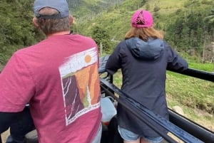 ラ・カーボネラのパルマ・デ・セラの森ツアーをご案内します