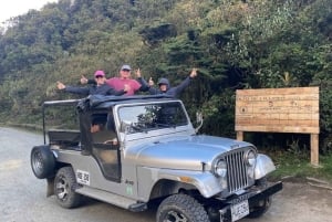 ラ・カーボネラのパルマ・デ・セラの森ツアーをご案内します