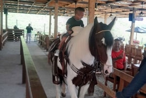 Tour Privado: Guatape Piedra Réplica Peñol Alto Chocho Barco