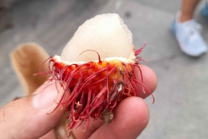 Tour Privado: Guatape Piedra Réplica Peñol Alto Chocho Barco