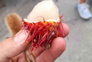 Yksityiskierros: Guatape Piedra Replica Peñol Alto Chocho Barco