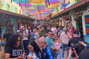 Tur till Guatapé: Alto del Chocho, Piedra del Peñol, lunch och mycket mer