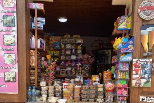 Tur till Guatapé: Alto del Chocho, Piedra del Peñol, lunch och mycket mer