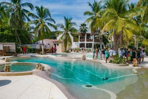 Tour a Palmarito con Playa Privada, Piscinas y Full Alimentación