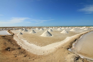 Тур в Пунта Галлинас с Кабо де ла Вела 3 дня