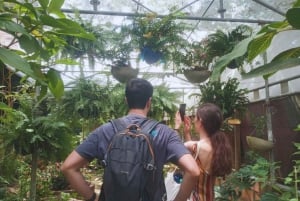 Visite de la ville de Minca : histoire, musées et nature