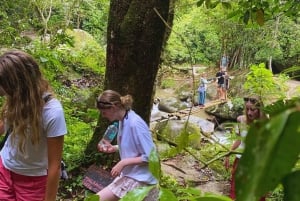 Visite de la ville de Minca : histoire, musées et nature