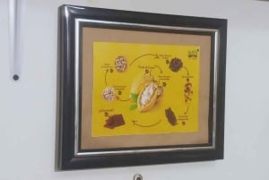 Visite de la ville de Minca : histoire, musées et nature