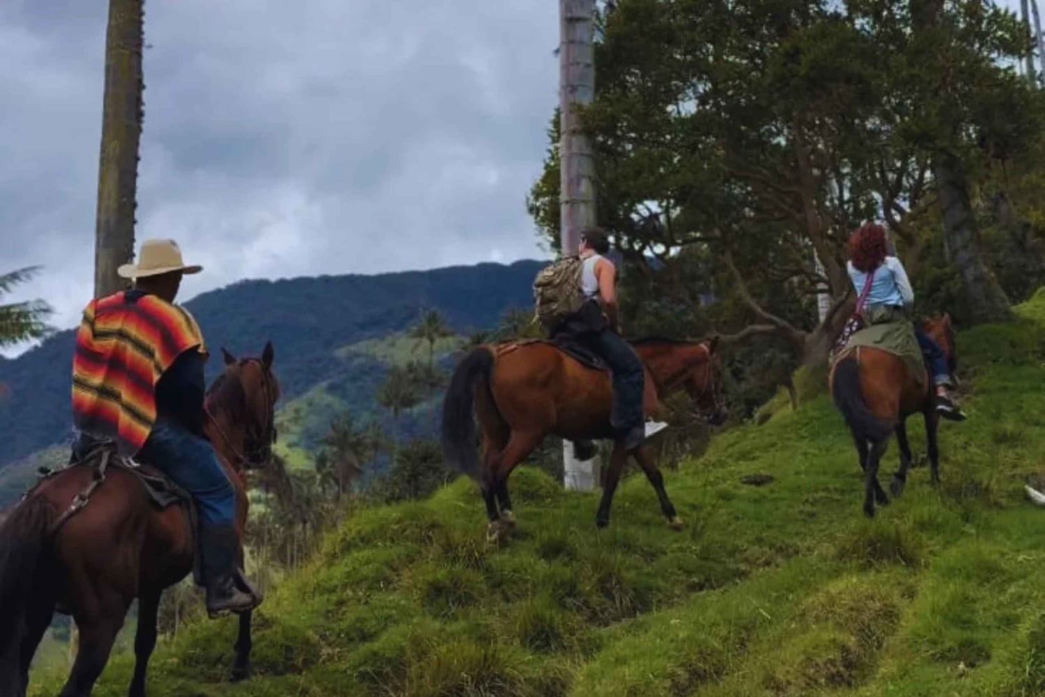 Senda de Gigantes: Cabalgata en La Carbonera