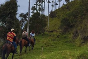 Trail of Giants: Horseback Riding in La Carbonera