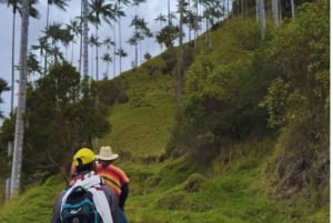 Trail of Giants: Horseback Riding in La Carbonera