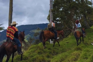 Senda de Gigantes: Cabalgata en La Carbonera