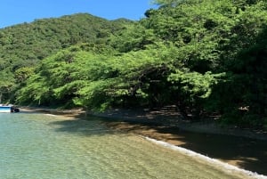 Transfer to Playa Cinto & Playa Cristal