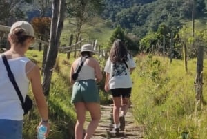 Trekking/Hiking in the Cocora Valley from Pereira or Armenia