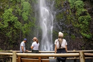 Trekking/Hiking Yarumo Blanco Waterfall from Pereira or Arme