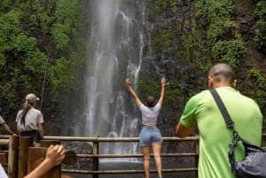 Trekking/Hiking Yarumo Blanco Waterfall from Pereira or Arme