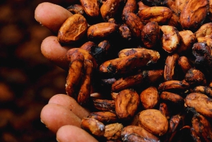 Trekking historique et patrimoine indigène à Minca + Cacao et café + Chute d'eau