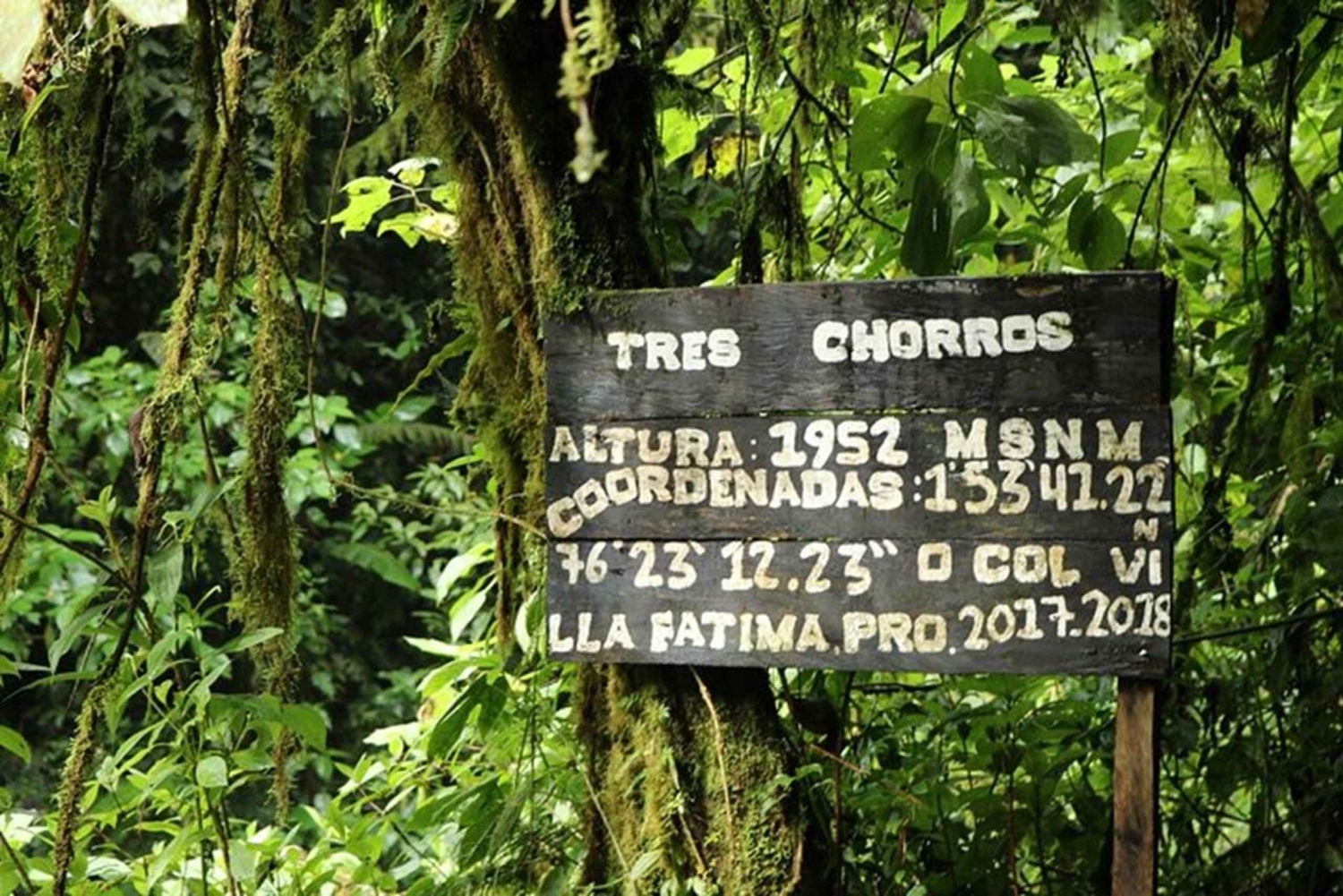 Tres Chorrosin vesiputous – yksityinen ratsastusretki