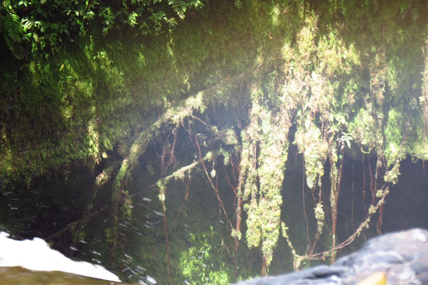 Tres Chorrosin vesiputous – yksityinen ratsastusretki