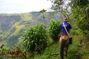 Excursión Privada a Caballo a la Cascada de Tres Chorros